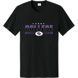 Curry College Easy Cotton Tee